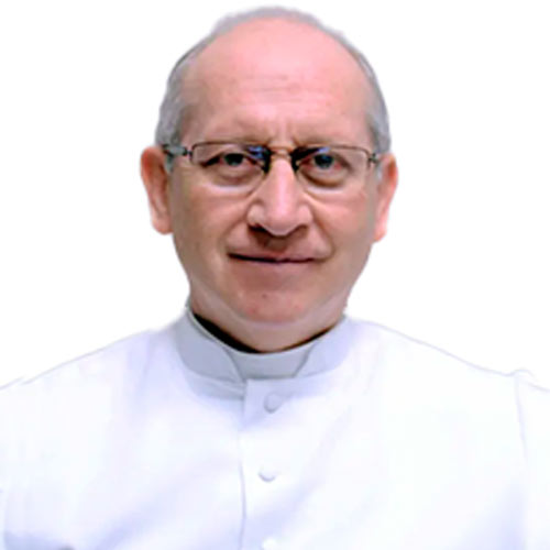 Galería de Sacerdotes en Nuestras Peregrinaciones