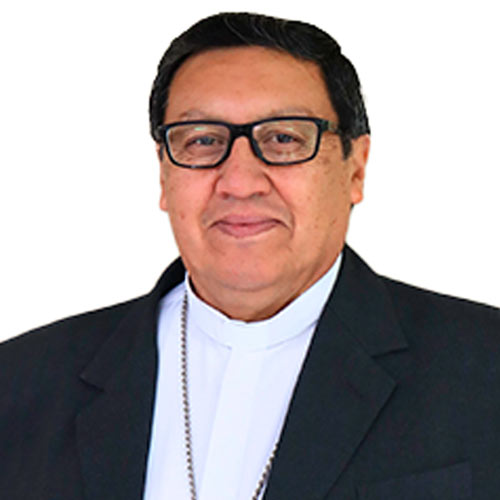 Galería de Sacerdotes en Nuestras Peregrinaciones