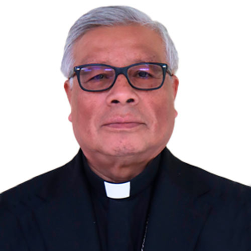 Galería de Sacerdotes en Nuestras Peregrinaciones